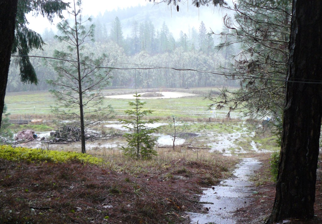 A very wet landscape.