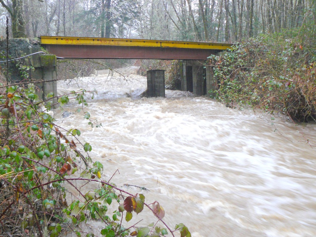 Bummer Creek in full flow (the central pier is from a previous bridge.)