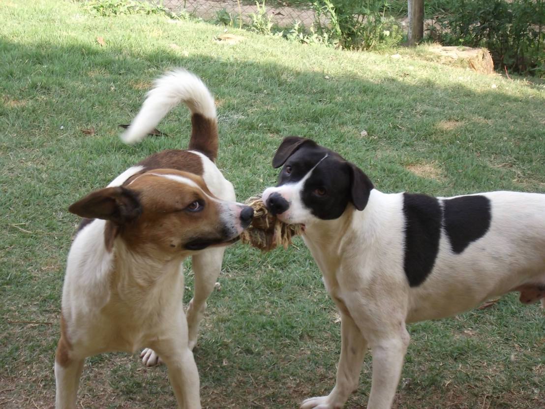 12657309_743517135783844_4620837696465933042_o