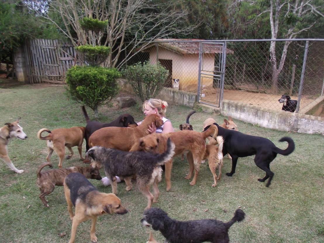 12657804_743519195783638_4907819882854948071_o