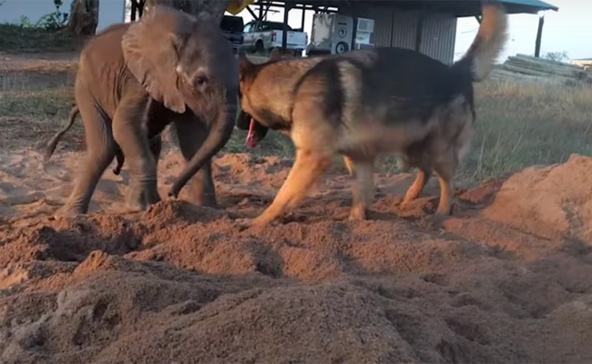 Photo Credit: Screenshot from Youtube video