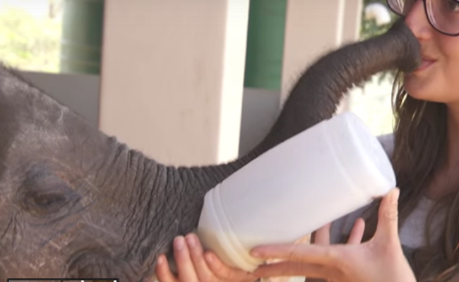 Photo Credit: Screenshot from Youtube video