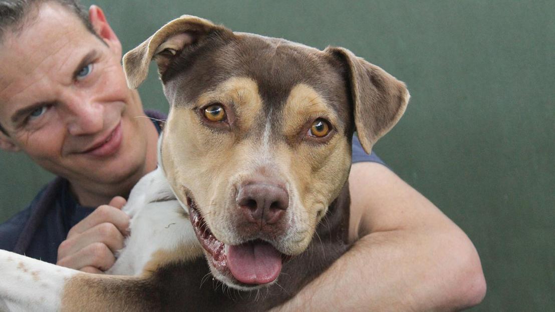 Nick Hawarth and Lucky Luna.