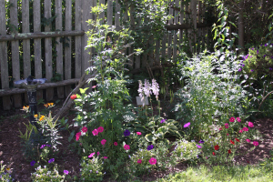 Not very organized and probably have too much in there, but I didn’t expect everything to take off the way it did!