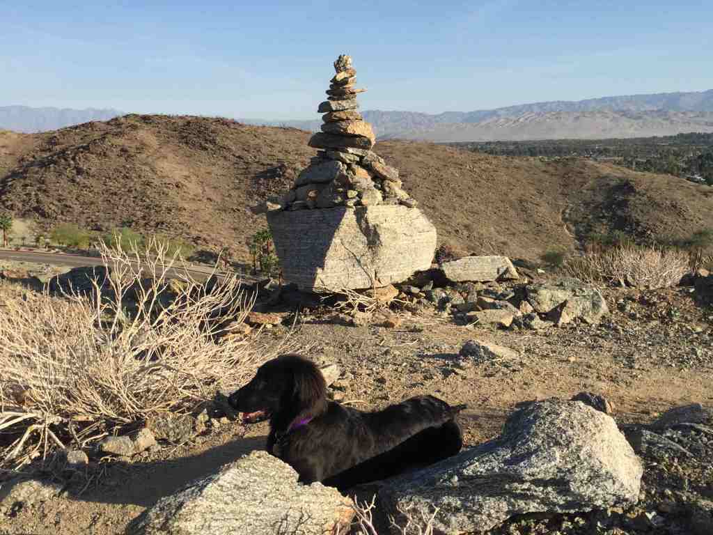 Lexi at Rancho Mirage.