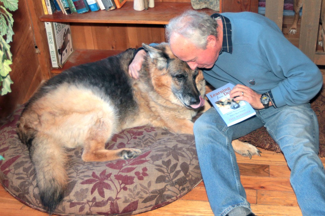 TIMOTHY BULLARD/Daily CourierPaul Handover with Pharaoh, a 12year-old German Shepard that he uses on the cover of his new book about man's best friend.