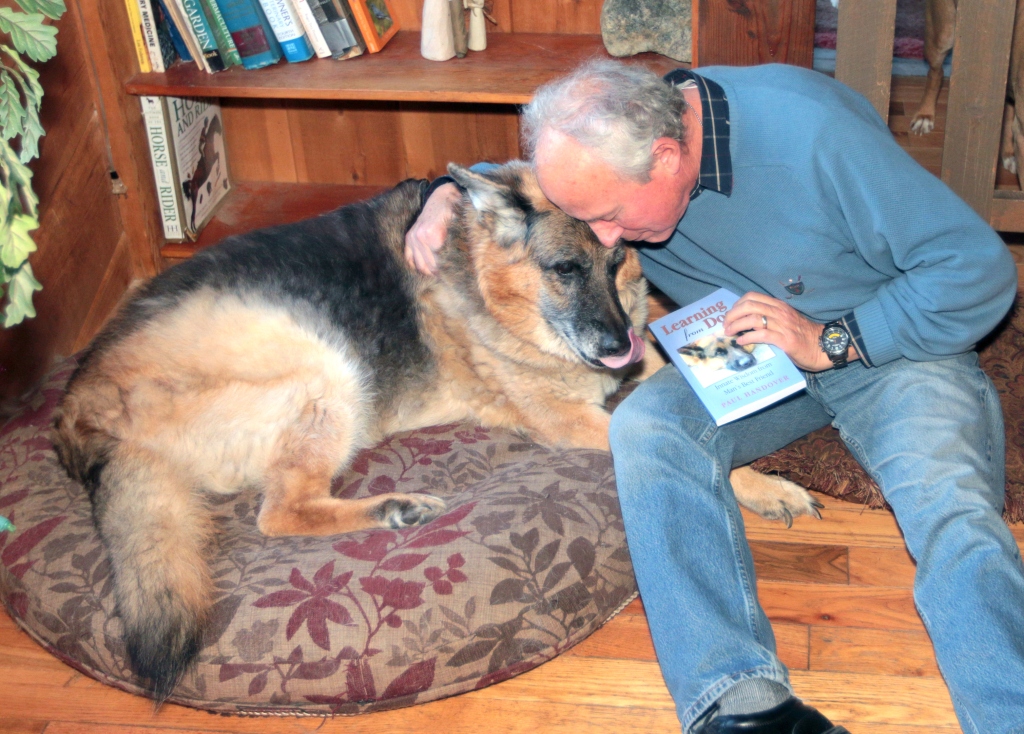 TIMOTHY BULLARD/Daily CourierPaul Handover with Pharaoh, a 12year-old German Shepard that he uses on the cover of his new book about man's best friend.