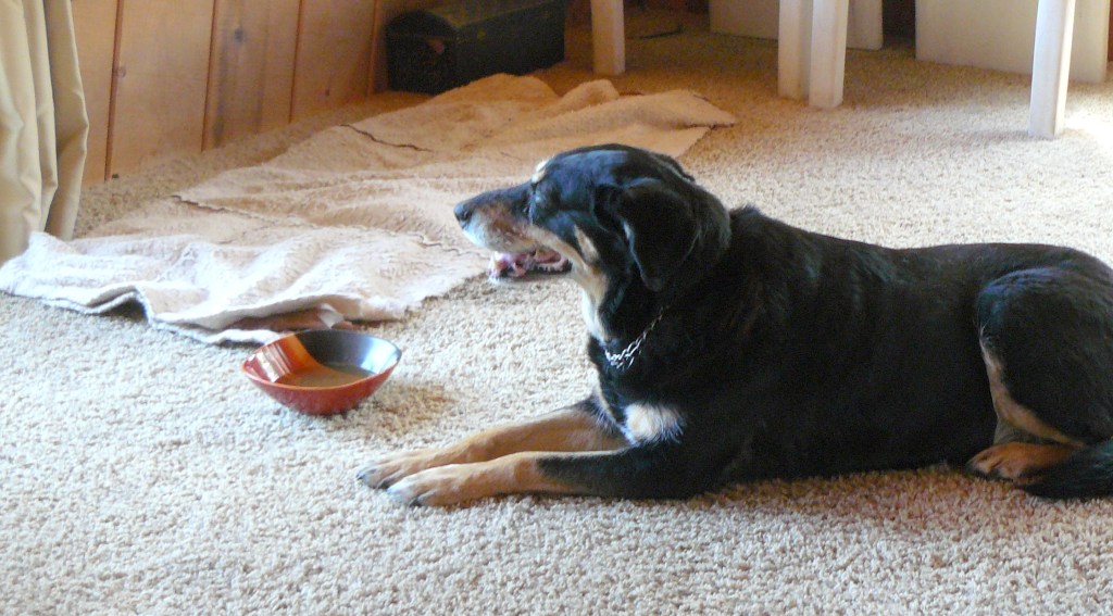 But most of the time she just wanted to be left on her own in our bedroom.