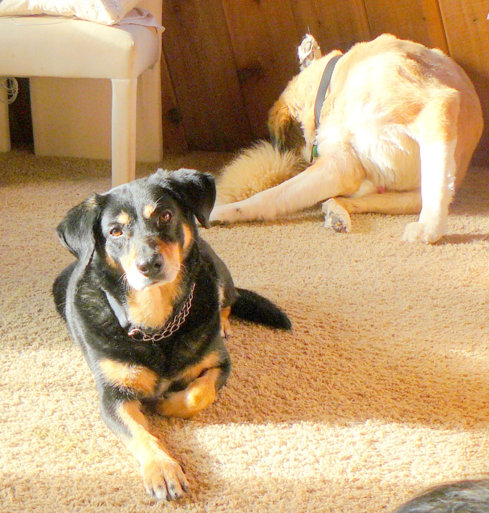 First time in recent days when Hazel has shown an interest in the world around her.