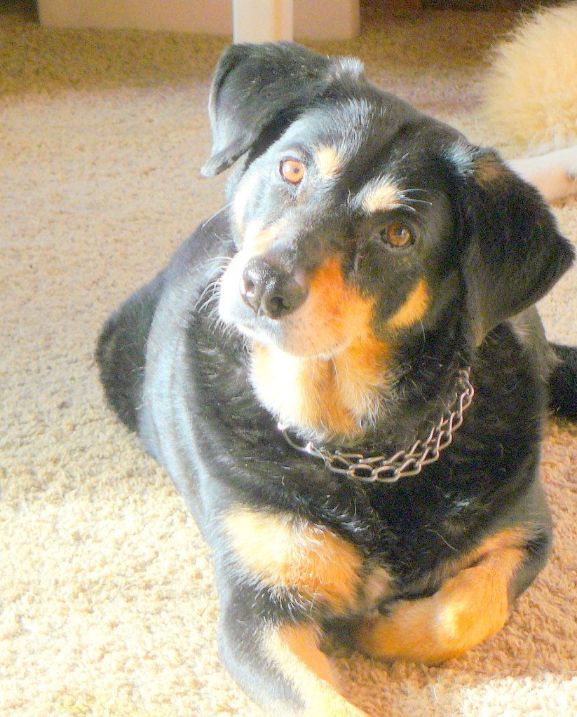 A return of a gesture unique to Hazel that we haven't seen in ages! :-)