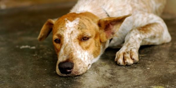 212041-1464376962-wide