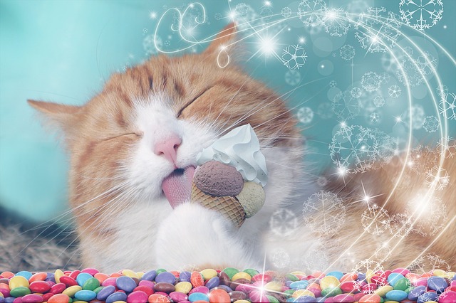 cat-eating-icecream