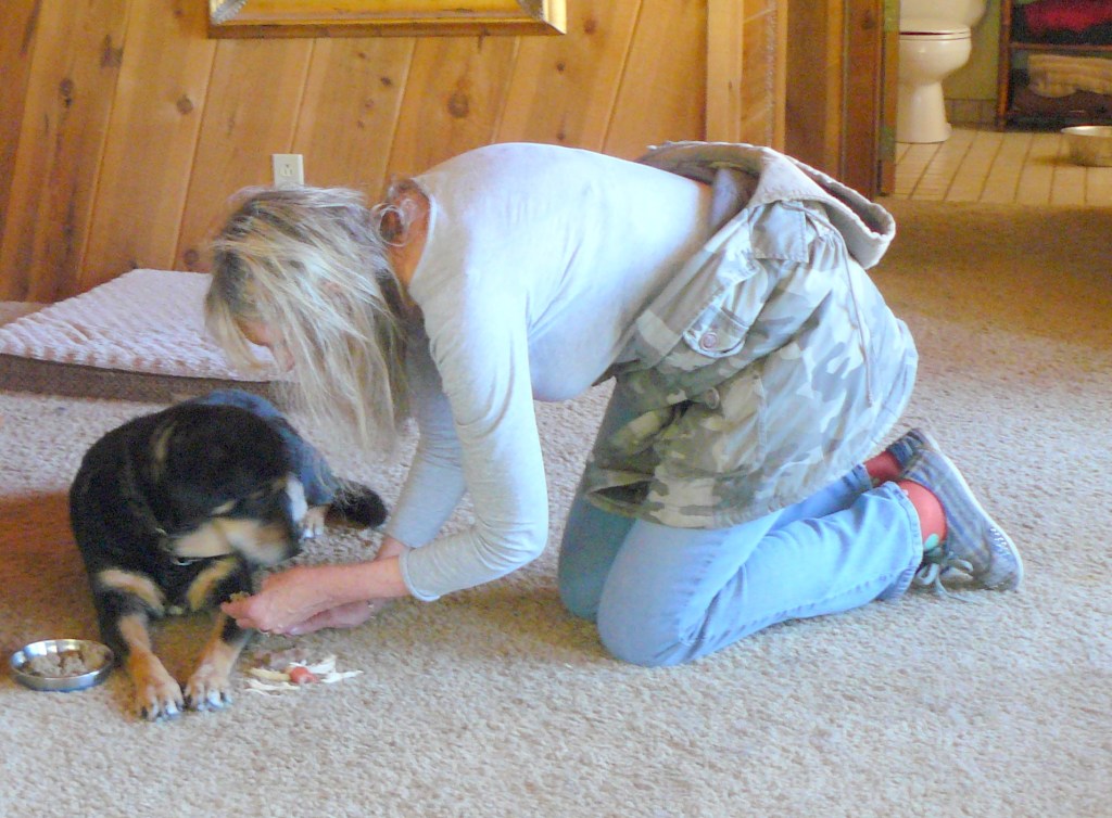 Jean is attempting to get Hazel to eat many times each day.