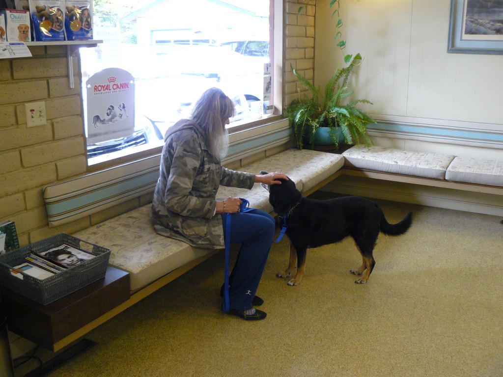 Hazel at the clinic shortly before she was taken in by the staff.