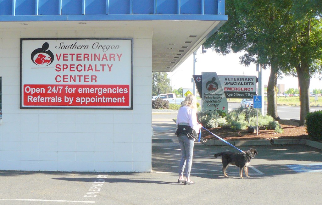 Based in Medford, about a 40-minute drive South from home.