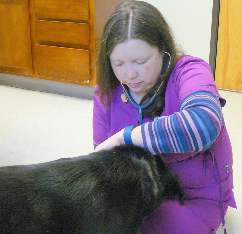 Pulse and body temperature normal.