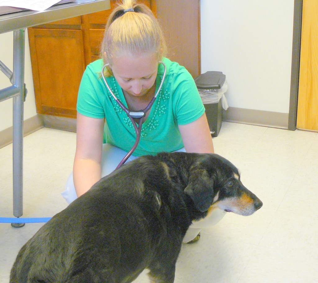 Dr. Winters listening to Hazel's rather laboured breathing.