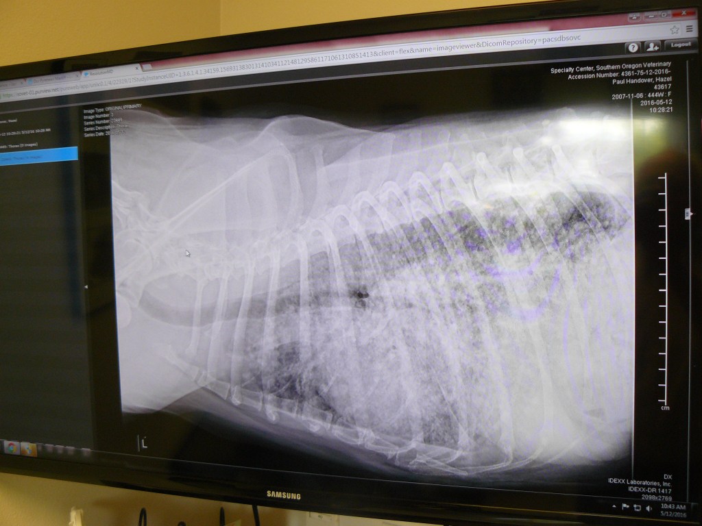 My photograph of the clinic's screen display.