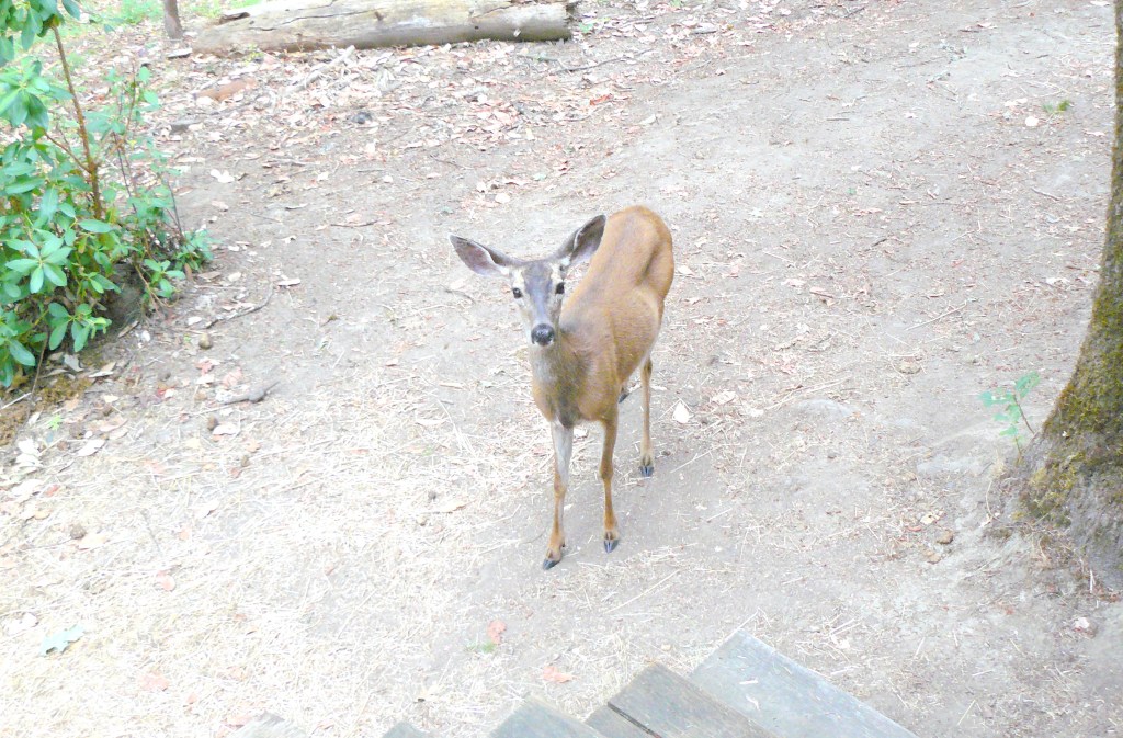 "Where's my breakfast, Mr. Paul?"