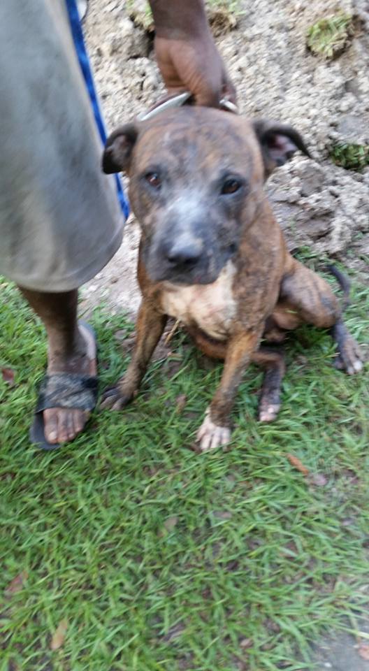 13439019_10210668786662861_6228593877549457302_n