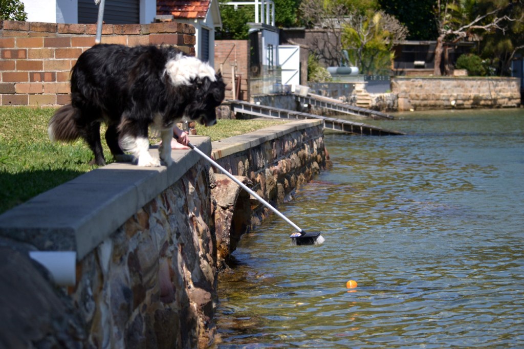 Finally some assistance. Miss puts Bilbo out of his misery!