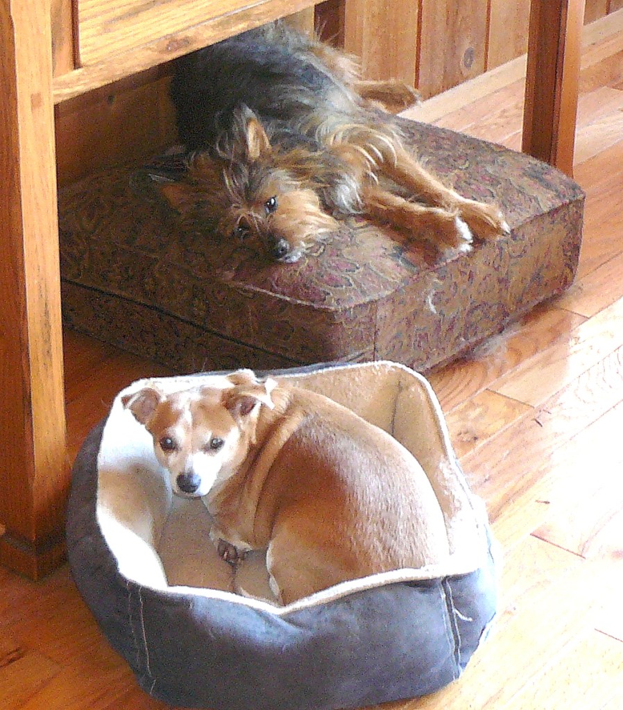 Pedy in front of Sweeny. Picture taken yesterday afternoon.