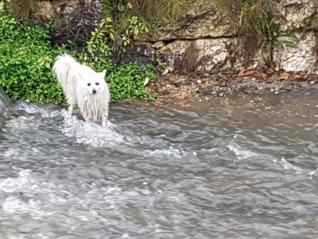 14958863_1887382628162398_1452435895_n-e1479772182279