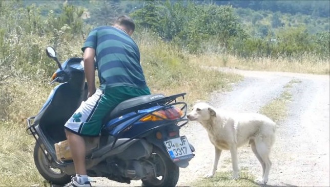 fullscreen-capture-11142016-55135-pm-e14792322398831