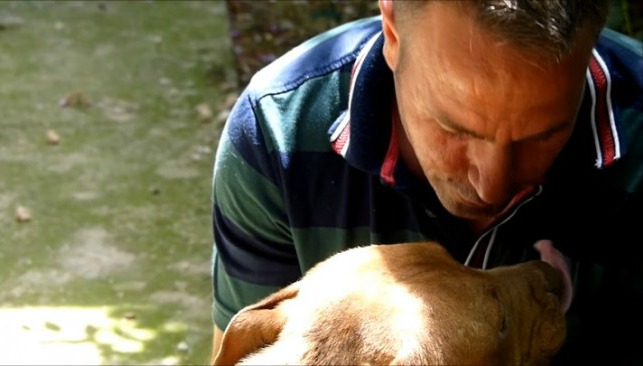 fullscreen-capture-11142016-55807-pm-e14792322056231