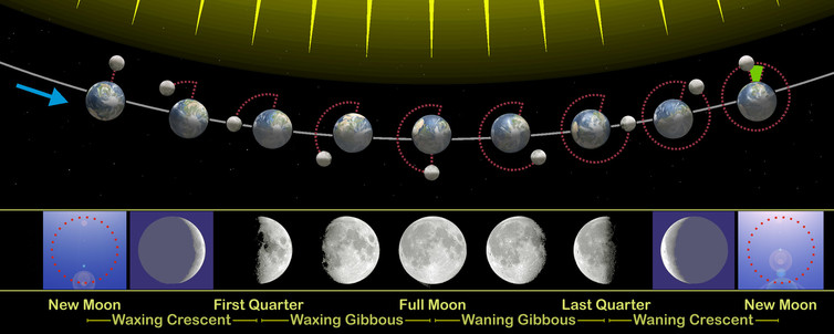 he moon’s phases as it revolves around the Earth. Orion 8, CC BY-SA