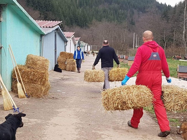 15027843_1893013444265983_1309771584715394544_n-e1479771932673