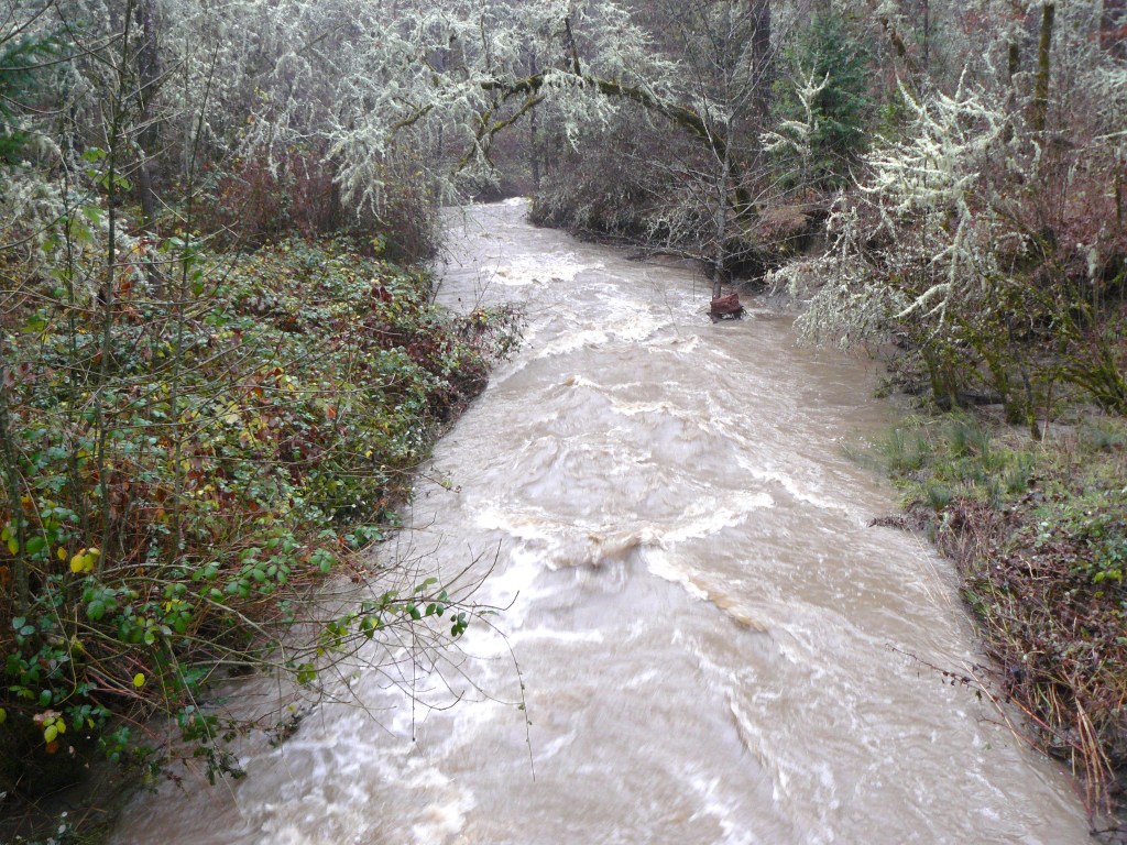 Bummer Creek looking downstream from the bridge.