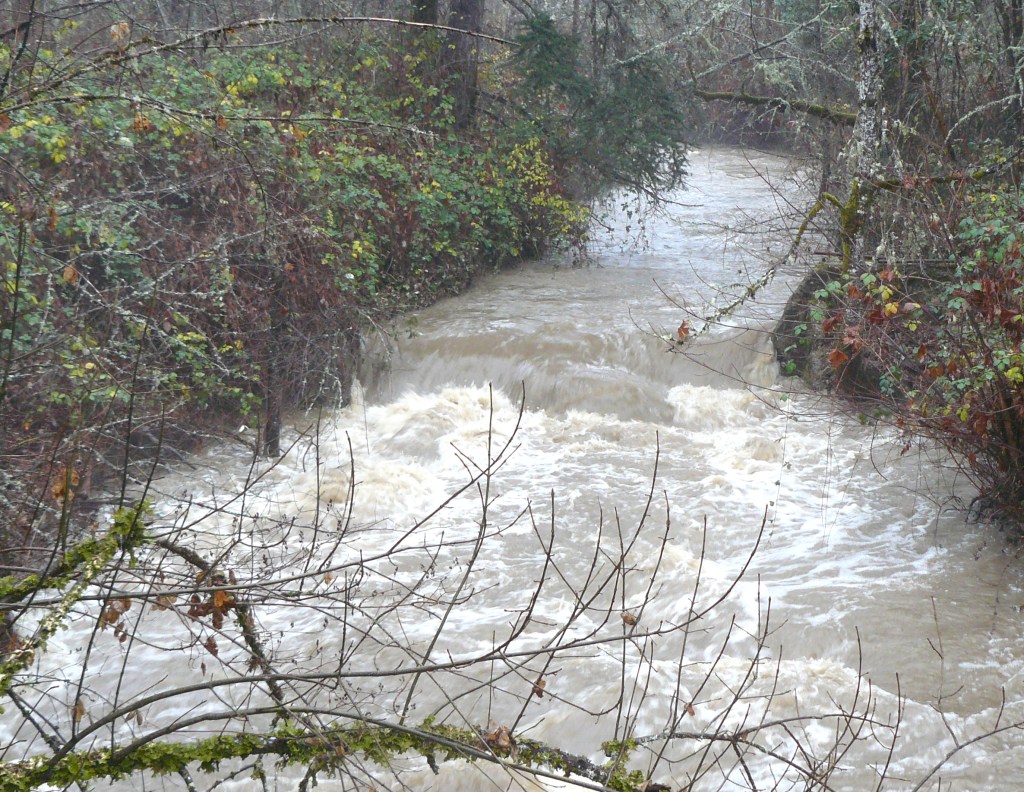 Bummer Creek looking upstream from the bridge.
