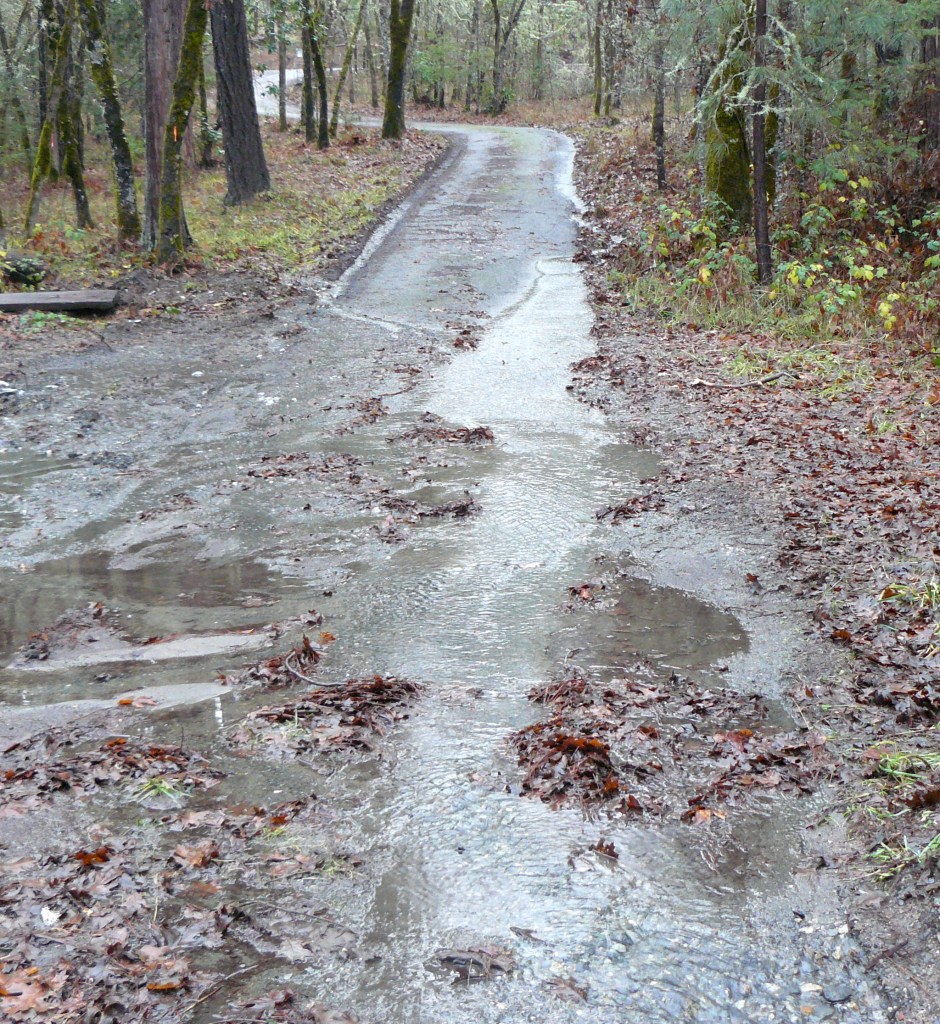 Our driveway gate onto Hugo Road is just visible at the top of the picture.