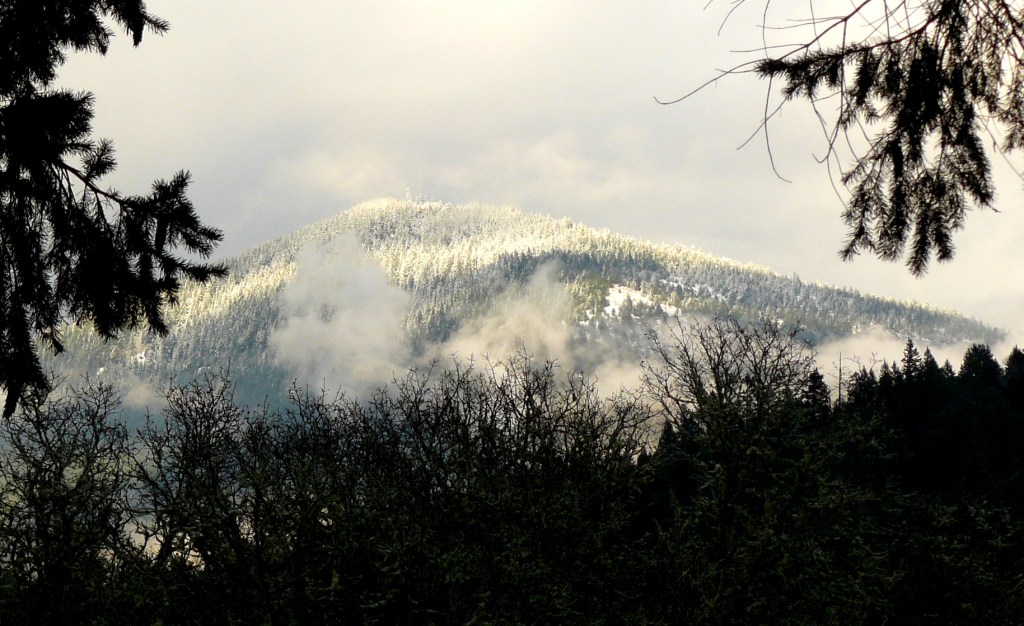 Mount Sexton, Oregon.