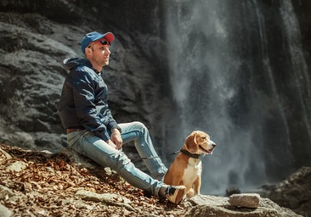 thinkstockphotos-475432976-443x309