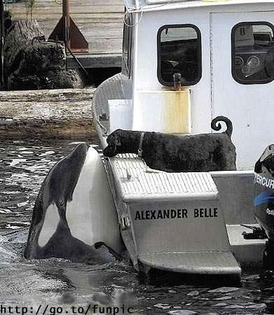 untitled-attachment-00094