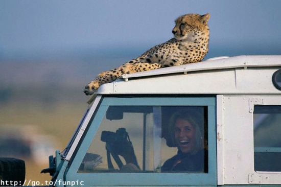 untitled-attachment-00109