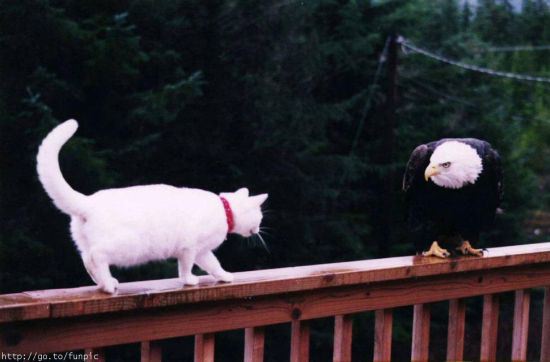 untitled-attachment-00112