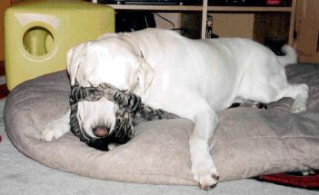 untitled-attachment-00139