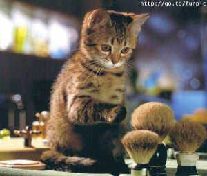 untitled-attachment-00145