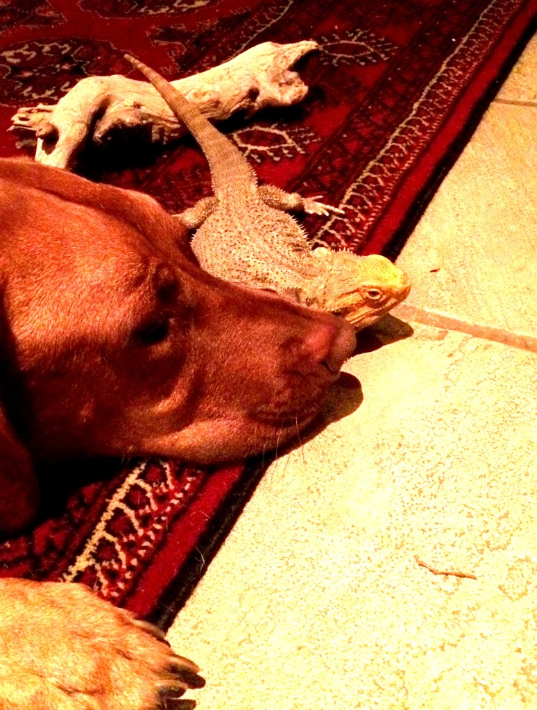 23cbb964-083c-46b9-b799-1cc849d6205c