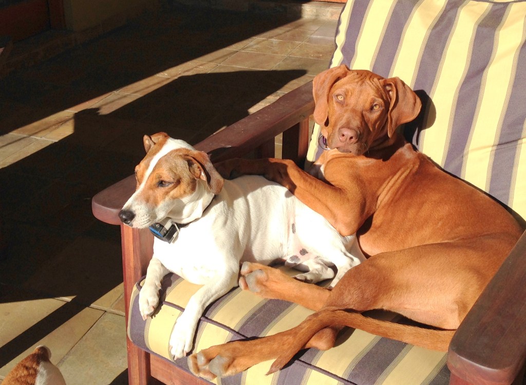 7742ff1c-d511-42b3-b49d-1ae8e87cf5a11