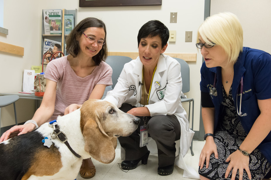 The author, center, and Dr. Anna Conti, left, and student Kelsey Parrish with Conti’s Basset hound, Picasso, who had surgery for cancer. Via Colorado State University. William Cotton/CSU Photography, Author provided