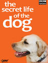 secret-life-dog
