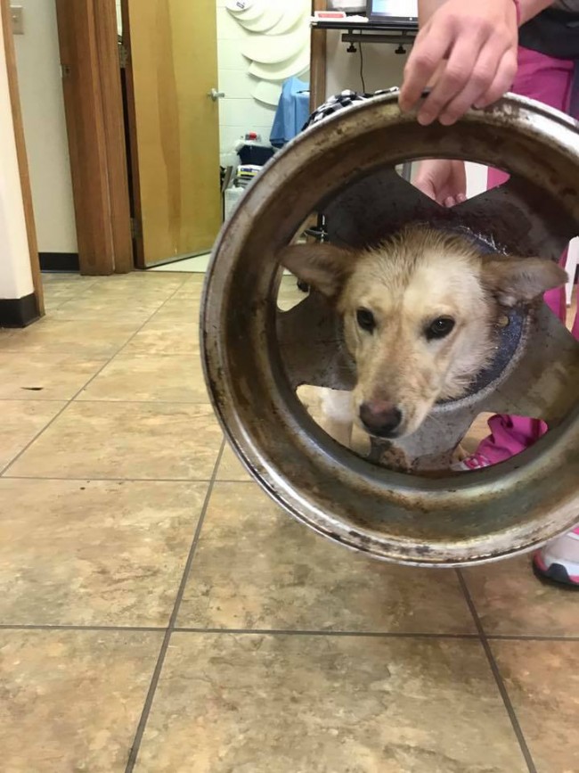 Credit: Kristi Sisk/ Facebook